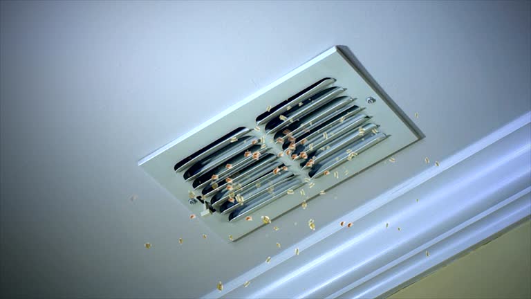 Best HVAC Air Duct Cleaning  in Prosperity, SC