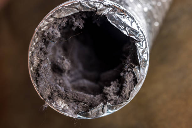 Best Commercial Air Duct Cleaning  in Prosperity, SC