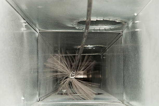 Best Dryer Vent Cleaning Services  in Prosperity, SC
