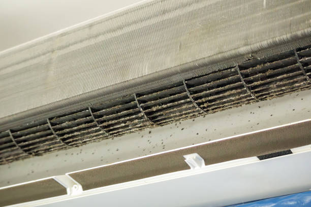 Best Best Air Duct Cleaning Company  in Prosperity, SC